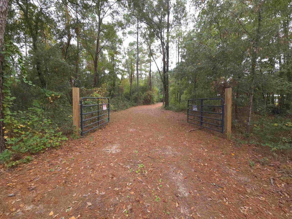 Photo of 263 Persimmon Road, Sopchoppy, FL 32358 (MLS # 392783)