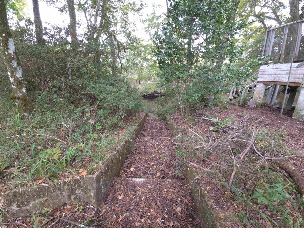 Photo of 263 Persimmon Road, Sopchoppy, FL 32358 (MLS # 392783)