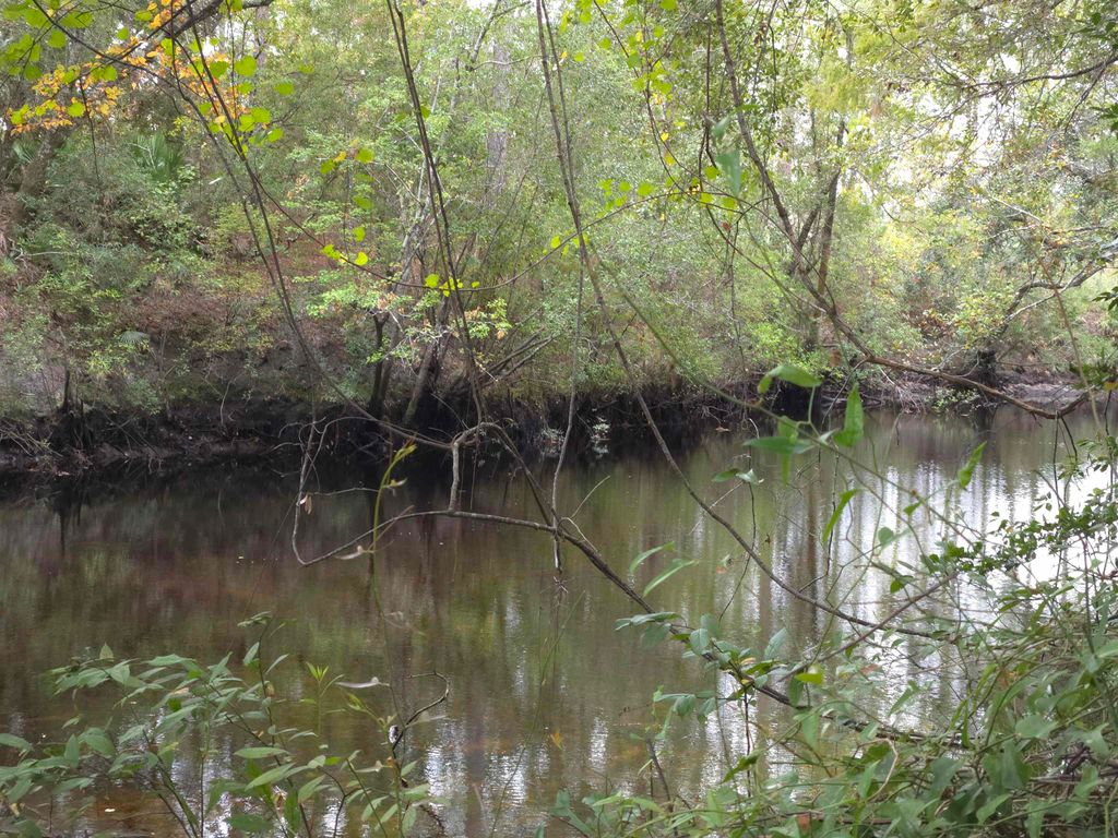 Photo of 263 Persimmon Road, Sopchoppy, FL 32358 (MLS # 392783)