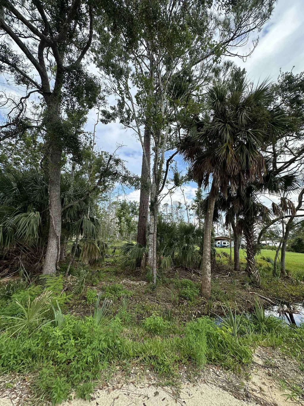 Photo of Lot 1 Fifth Avenue Avenue, Steinhatchee, FL 32359 (MLS # 392344)