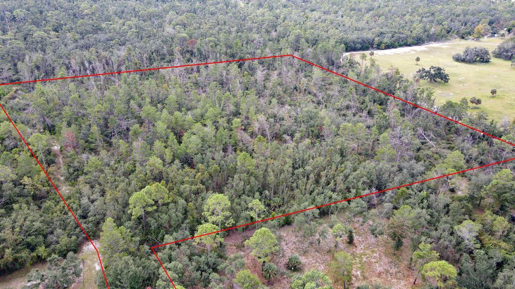 Photo of TBD Stricklands Landing Drive, Perry, FL 32348 (MLS # 391963)