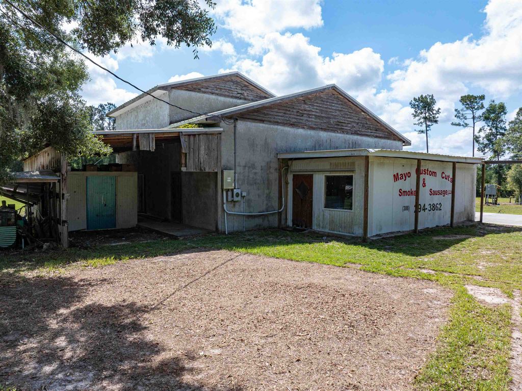 Photo of 113 SE Parker Rd Rd, Mayo, FL 32066 (MLS # 388442)