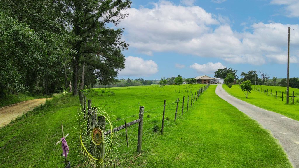 Photo of 1259 NW Hawk&#39;s Ave Avenue, Greenville, FL 32331 (MLS # 388758)