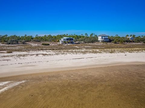 A home in Alligator Point