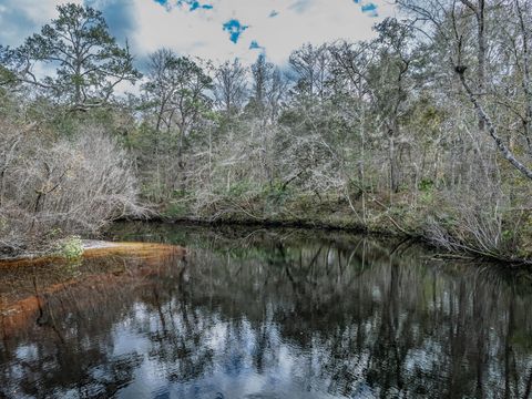 Lot 92 Cheyenne Drive Sopchoppy FL 32358