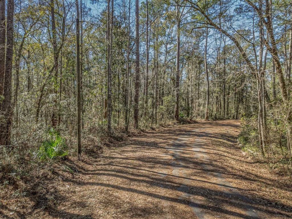 Photo of Lot 92 Cheyenne Drive, Sopchoppy, FL 32358 (MLS # 395731)