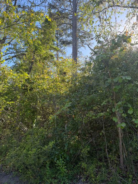 Tiny photo for DAKOTA Drive, Crawfordville, FL 32327 (MLS # 398155)