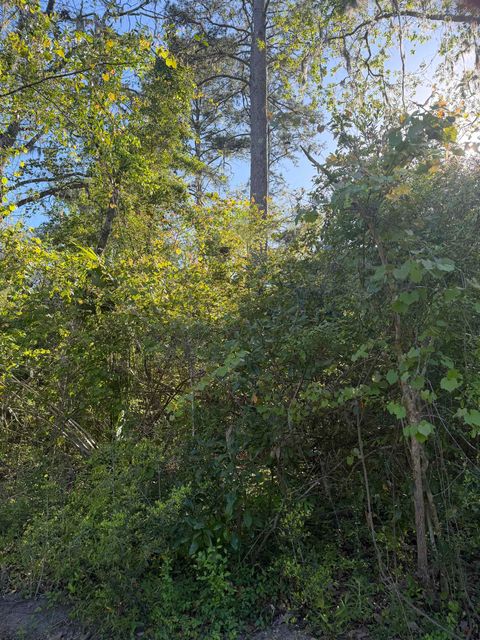 Tiny photo for DAKOTA Drive, Crawfordville, FL 32327 (MLS # 398155)