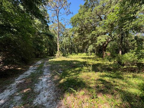 Photo of 1781 Wax Myrtle Road, Tallahassee, FL 32305 (MLS # 382414)