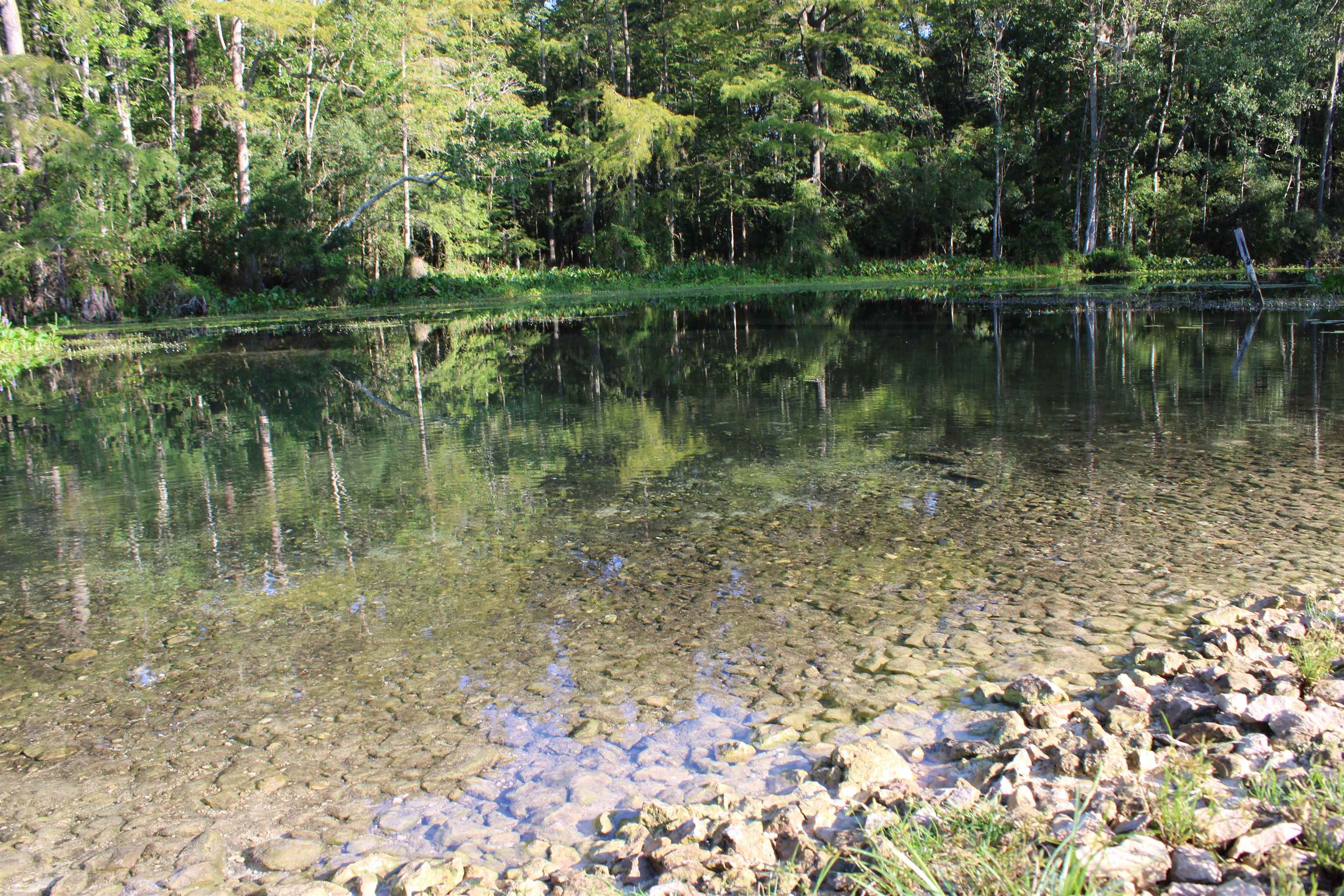 1415 Malloy Landing Road