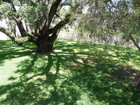 Tiny photo for 1317 Airport Drive #F13, Tallahassee, FL 32304 (MLS # 398377)