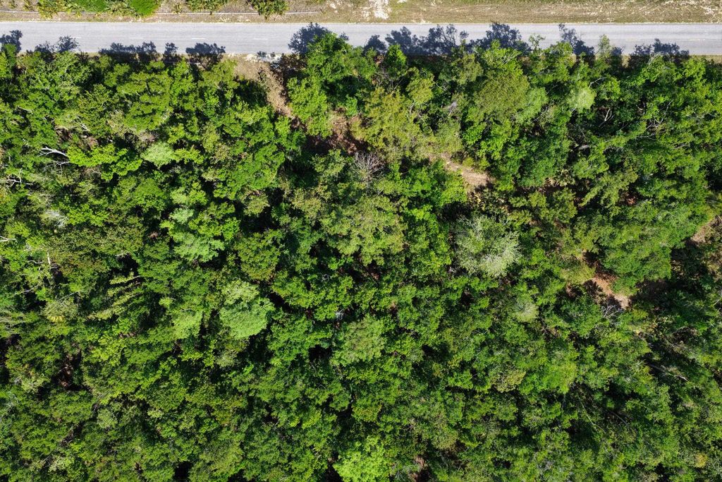 Photo of 0 SW 361 Highway, Jena, FL 32359 (MLS # 398992)