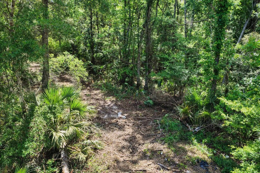 Photo of 0 SW 361 Highway, Jena, FL 32359 (MLS # 398992)