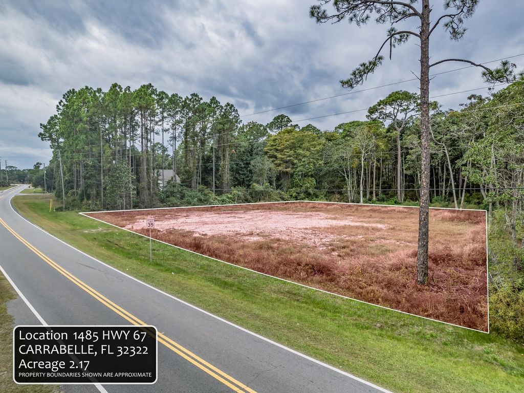 Photo of 1485 Highway 67, Carrabelle, FL 32322 (MLS # 392709)