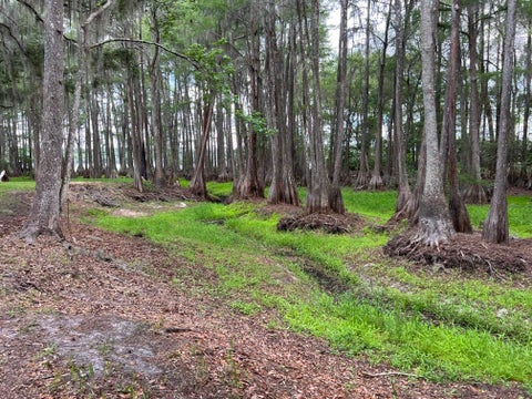 Tiny photo for 3540 CYPRESS HAWK LN LN, Tallahassee, FL 32310 (MLS # 401878)
