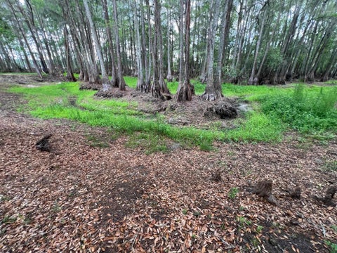 Tiny photo for 3540 CYPRESS HAWK LN LN, Tallahassee, FL 32310 (MLS # 401878)