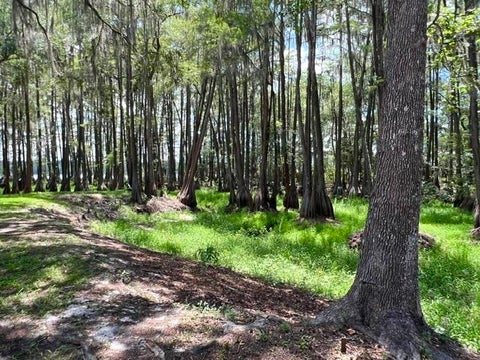 Tiny photo for 3540 CYPRESS HAWK LN LN, Tallahassee, FL 32310 (MLS # 401878)