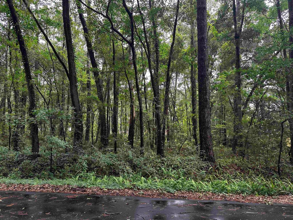Photo of 2612 Neuchatel Drive, Tallahassee, FL 32303 (MLS # 401471)