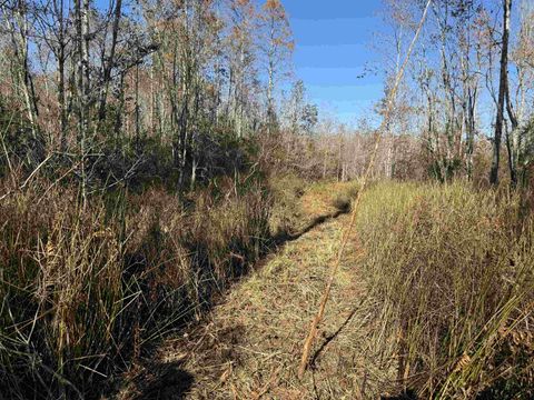 Tiny photo for 652 NW Flowers Road, Madison, FL 32340 (MLS # 398721)