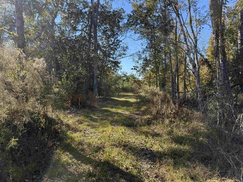 Tiny photo for 652 NW Flowers Road, Madison, FL 32340 (MLS # 398721)