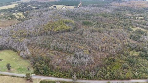 Tiny photo for 652 NW Flowers Road, Madison, FL 32340 (MLS # 398721)