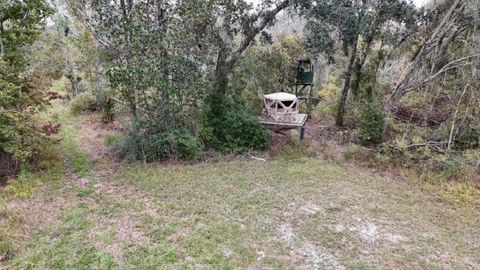 Tiny photo for 652 NW Flowers Road, Madison, FL 32340 (MLS # 398721)