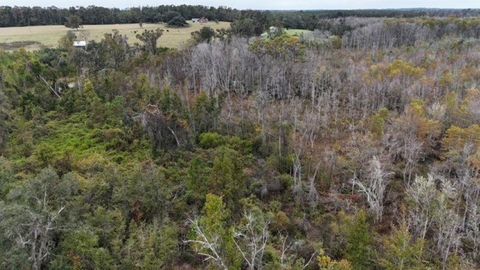 Tiny photo for 652 NW Flowers Road, Madison, FL 32340 (MLS # 398721)