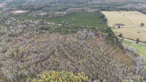 Tiny photo for 652 NW Flowers Road, Madison, FL 32340 (MLS # 398721)