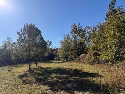 Tiny photo for 652 NW Flowers Road, Madison, FL 32340 (MLS # 398721)
