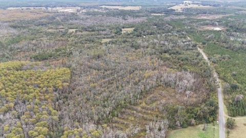 Tiny photo for 652 NW Flowers Road, Madison, FL 32340 (MLS # 398721)