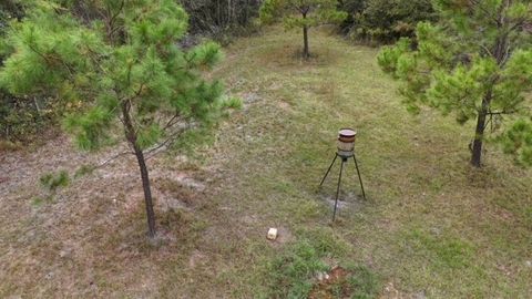 Tiny photo for 652 NW Flowers Road, Madison, FL 32340 (MLS # 398721)