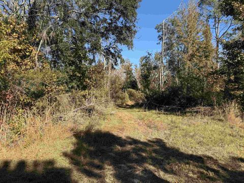Tiny photo for 652 NW Flowers Road, Madison, FL 32340 (MLS # 398721)