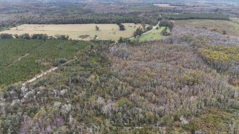 Tiny photo for 652 NW Flowers Road, Madison, FL 32340 (MLS # 398721)