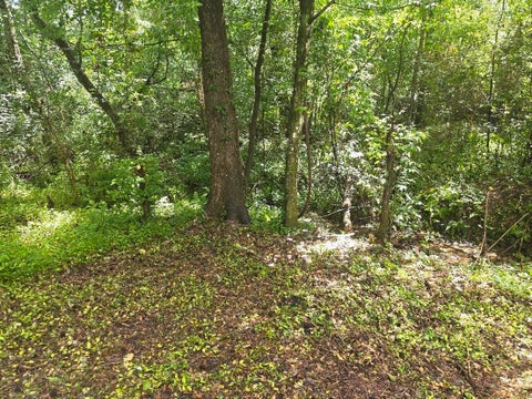 Tiny photo for 547 COLLINSFORD Road #15, Tallahassee, FL 32301 (MLS # 401550)