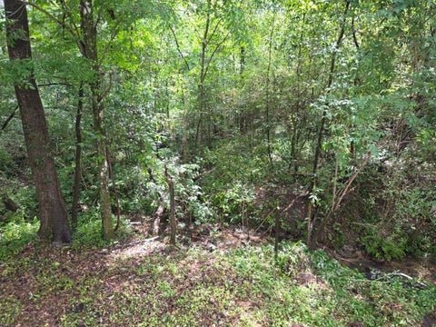 Tiny photo for 547 COLLINSFORD Road #15, Tallahassee, FL 32301 (MLS # 401550)