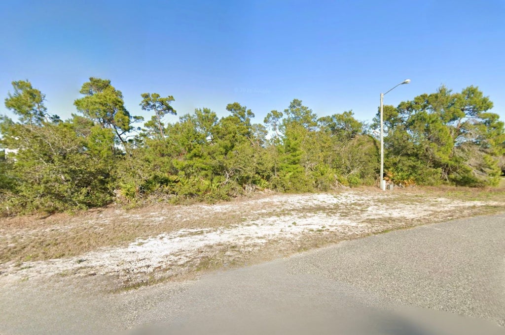 Photo of 288 Blue Heron Drive, East Point, FL 32328 (MLS # 400713)