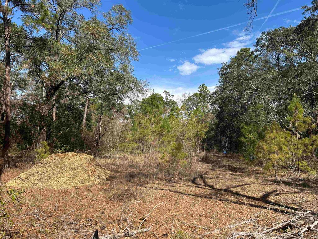 Photo of 7476 Wren Drive, Tallahassee, FL 32310 (MLS # 396185)