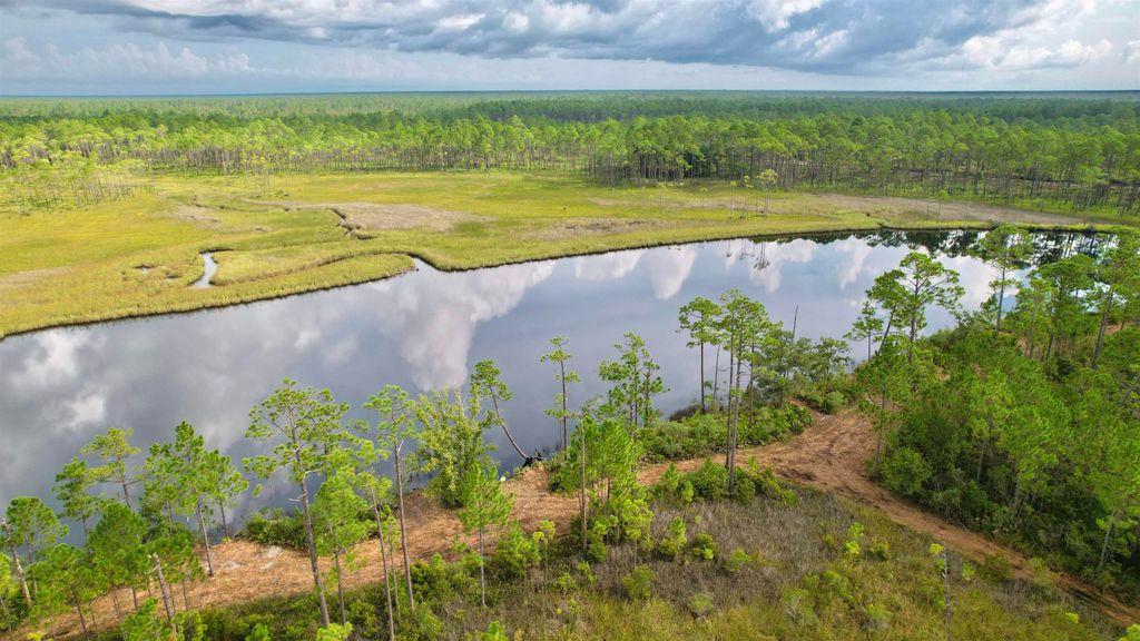 Photo of XX Mill Road, Carrabelle, FL 32322 (MLS # 392840)