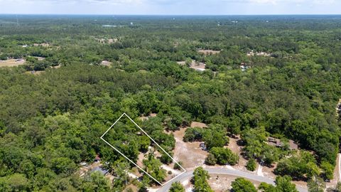 Tiny photo for 96 MILL CREEK Road, Crawfordville, FL 32327 (MLS # 399111)
