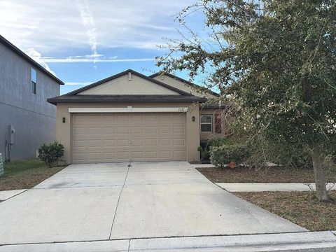 Photo of 7227 Salt River Avenue, Other Florida, FL 33573 (MLS # 395323)