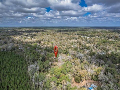Tiny photo for 68 Hidden Valley Lane, Crawfordville, FL 32327 (MLS # 397006)
