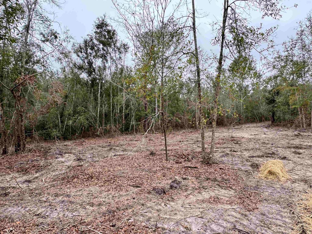 Photo of Parcel 5 E US 90 Highway, Lee, FL 32059 (MLS # 394614)