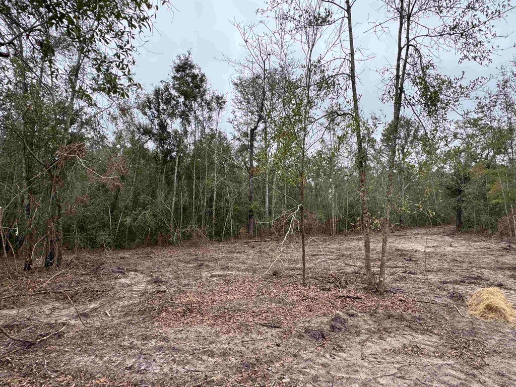 Photo of Parcel 5 E US 90 Highway, Lee, FL 32059 (MLS # 394614)