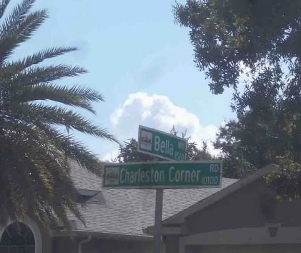 Photo of 10218 Charleston Corner Road, Tampa, FL 33635 (MLS # 395711)