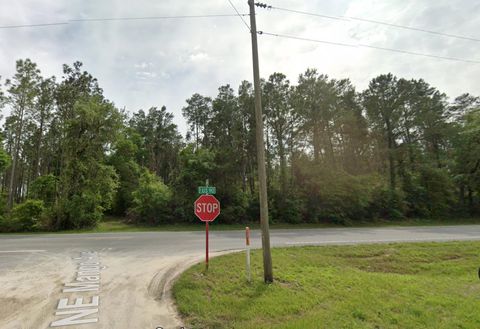 Tiny photo for Vacant NE US HWY 90, Lee, FL 32059 (MLS # 395351)