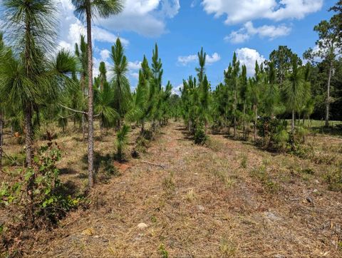 Tiny photo for Vacant NE US HWY 90, Lee, FL 32059 (MLS # 395351)