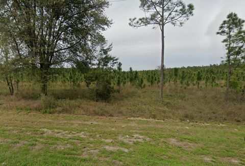 Tiny photo for Vacant NE US HWY 90, Lee, FL 32059 (MLS # 395351)