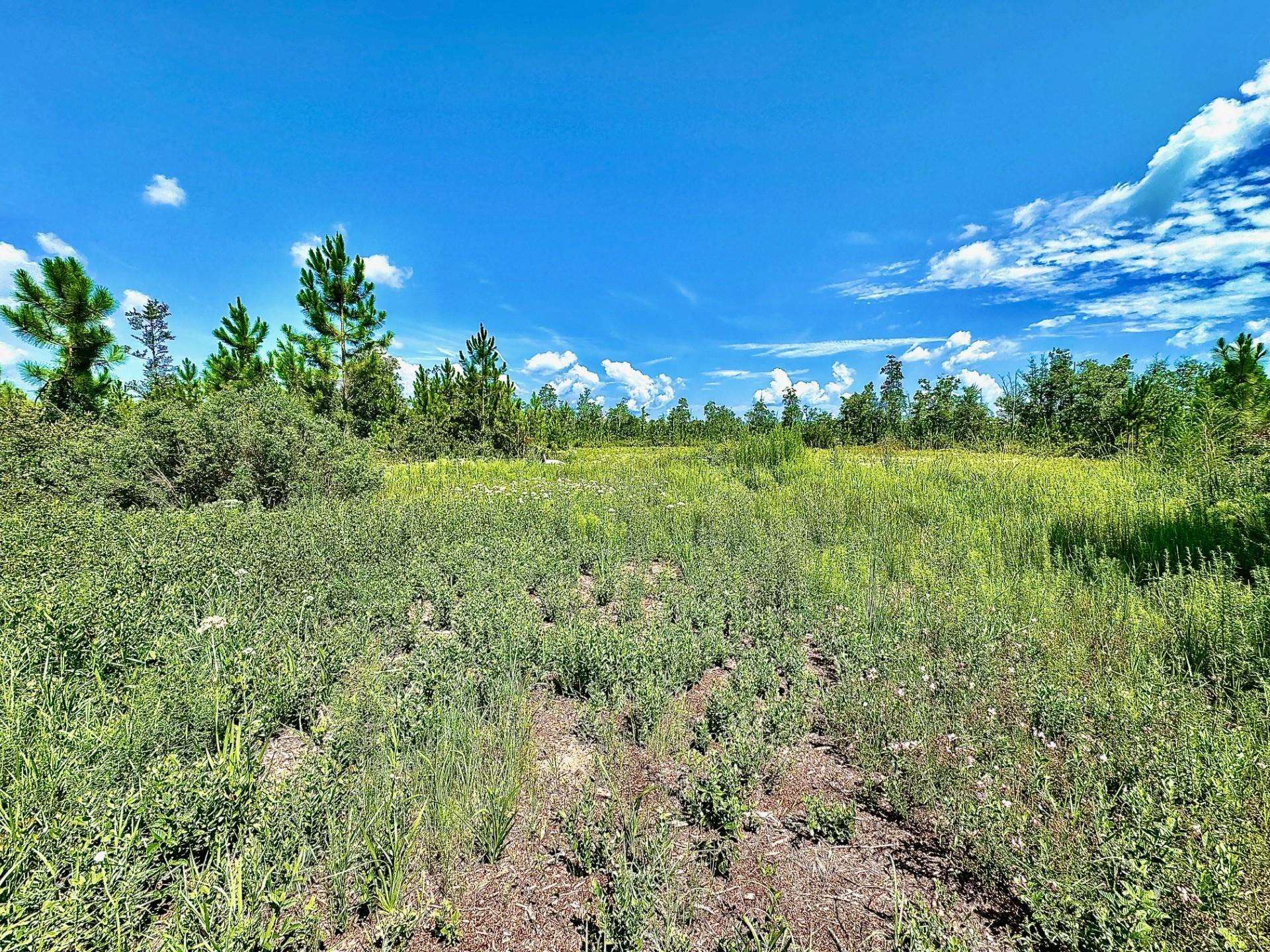 Lot 11 Rock Crusher Road