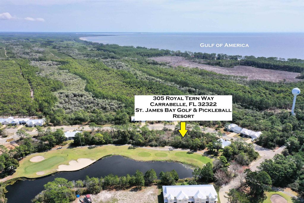 Photo of 305 Royal Tern Way, Carrabelle, FL 32322 (MLS # 391436)