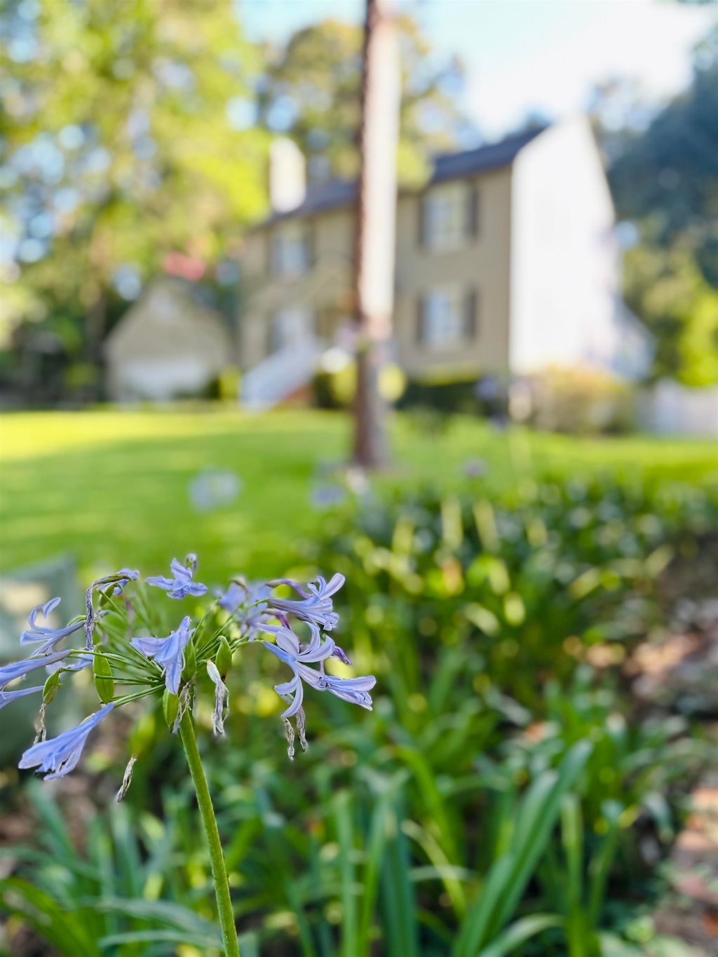 Photo of 1750 Marston Place, Tallahassee, FL 32308 (MLS # 390769)
